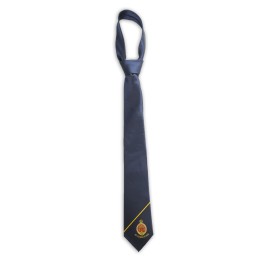 TI159 Customized Net Color Tie Embroidered Logo Tie Anniversary 100% Poly Tie Supplier TI159 Customized Net Color Tie Embroidered Logo Tie Anniversary 100% Poly Tie Supplier
